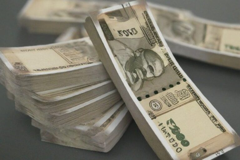 Money Making Ideas: सिर्फ ₹10,000 की पूंजी से शुरू करें डेयरी बिजनेस, मिलेगी सरकारी सहयता, डेली कमाई का मौका