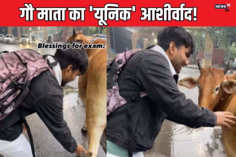 एग्जाम से पहले लेने गया गौ माता का आशीर्वाद, पहले छुए पैर, मैया ने यूं बरसा दी ‘कृपा’!